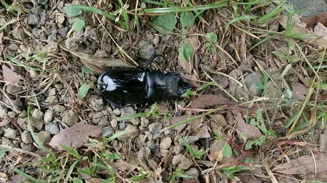 «ö¦¹¦b·sµøµ¡ÂsÄý¹Ï¤ù