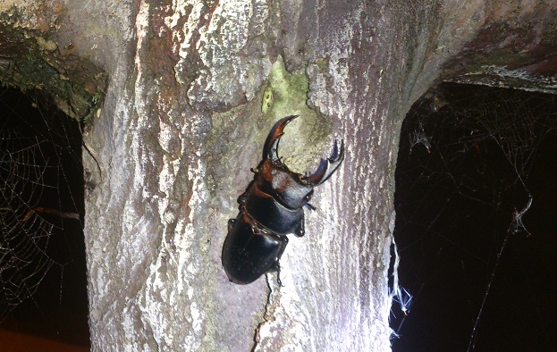 «ö¦¹¦b·sµøµ¡ÂsÄý¹Ï¤ù