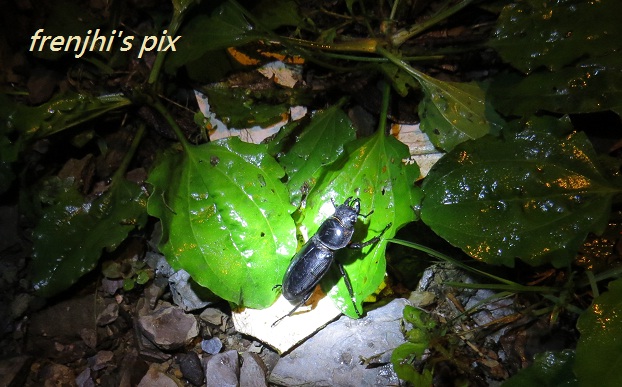 «ö¦¹¦b·sµøµ¡ÂsÄý¹Ï¤ù