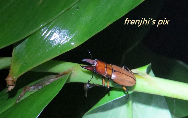 «ö¦¹¦b·sµøµ¡ÂsÄý¹Ï¤ù