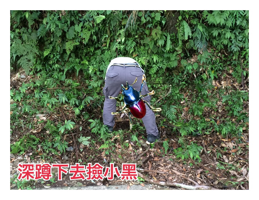 «ö¦¹¦b·sµøµ¡ÂsÄý¹Ï¤ù