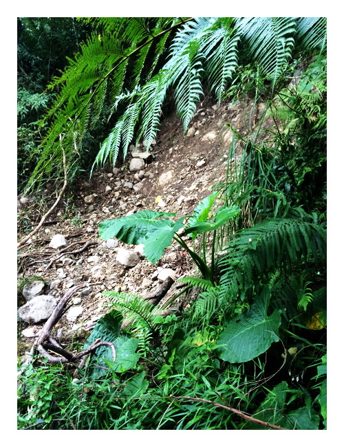 «ö¦¹¦b·sµøµ¡ÂsÄý¹Ï¤ù