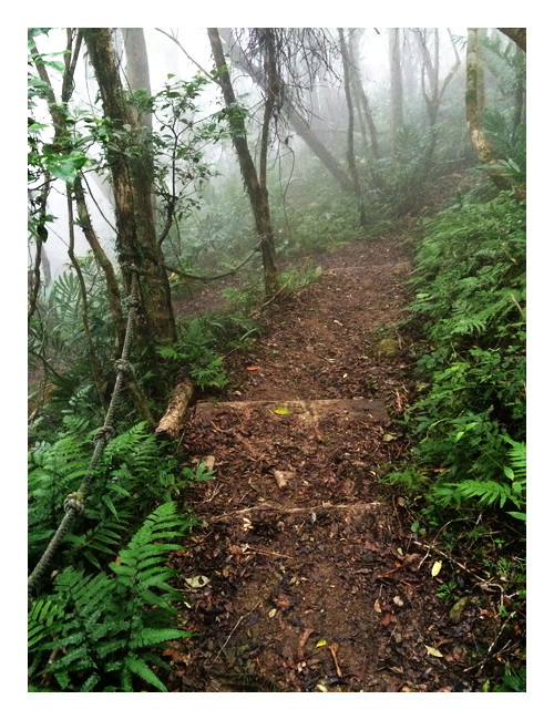 «ö¦¹¦b·sµøµ¡ÂsÄý¹Ï¤ù