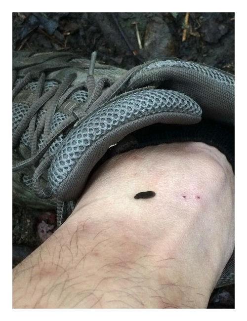 «ö¦¹¦b·sµøµ¡ÂsÄý¹Ï¤ù