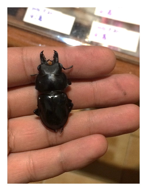 «ö¦¹¦b·sµøµ¡ÂsÄý¹Ï¤ù