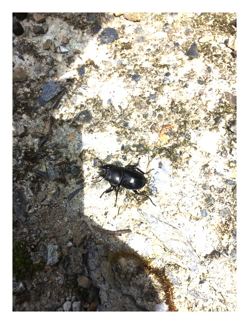 «ö¦¹¦b·sµøµ¡ÂsÄý¹Ï¤ù