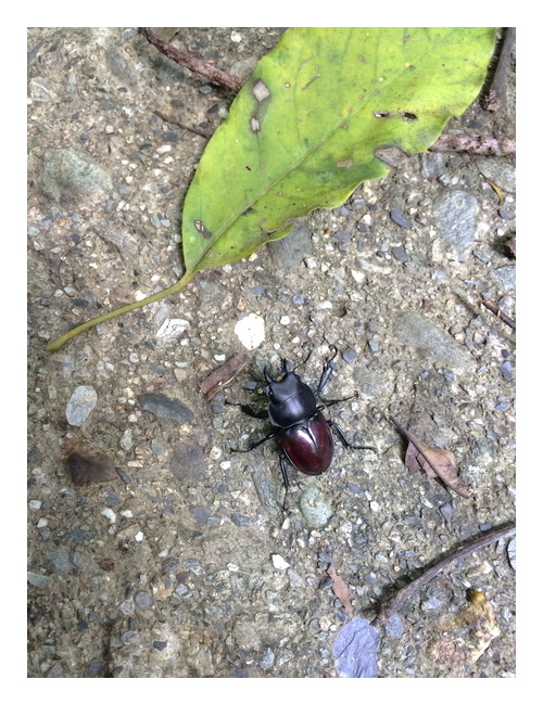 «ö¦¹¦b·sµøµ¡ÂsÄý¹Ï¤ù