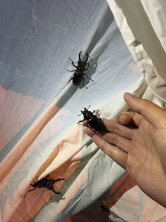 按此在新視窗瀏覽圖片