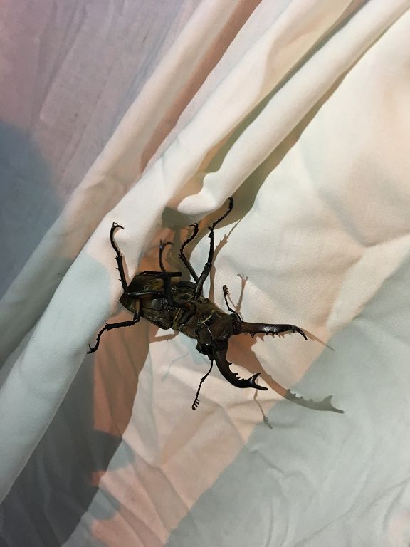 按此在新視窗瀏覽圖片