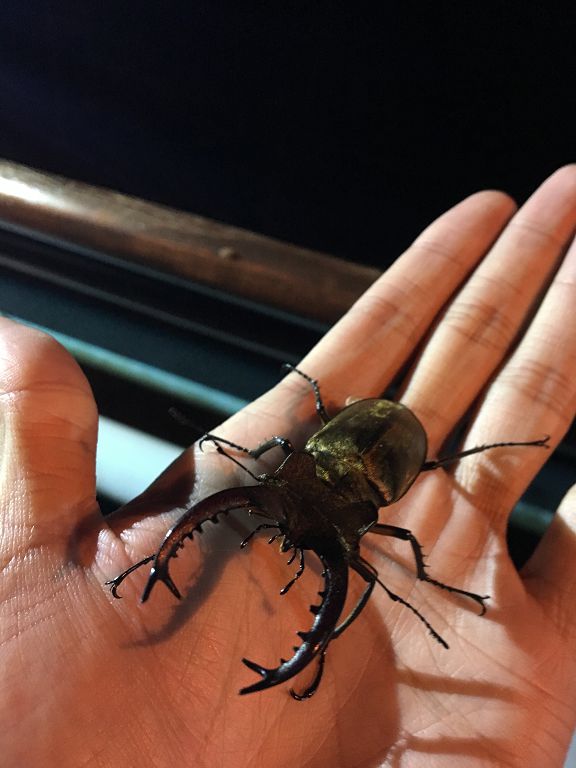 按此在新視窗瀏覽圖片