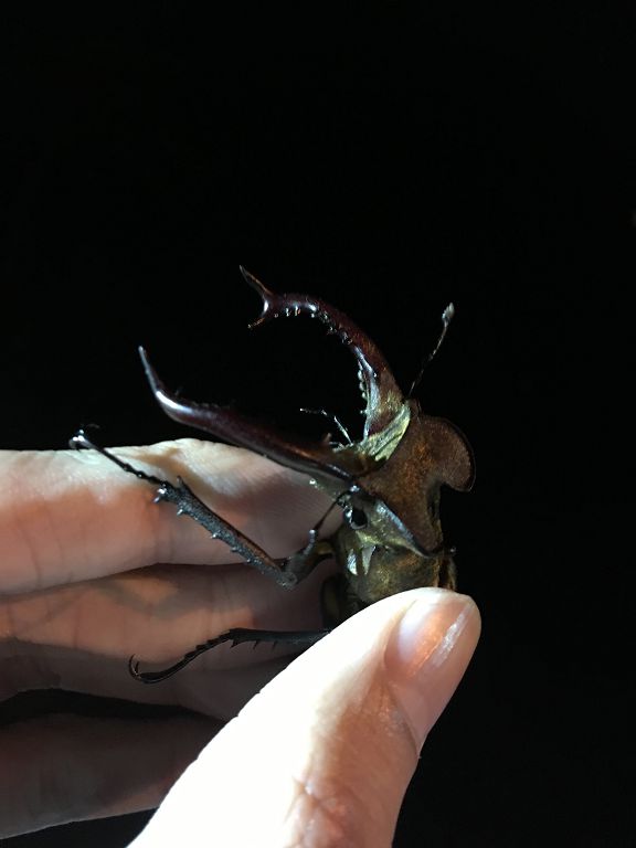 按此在新視窗瀏覽圖片