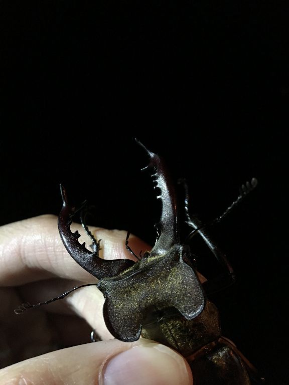 按此在新視窗瀏覽圖片