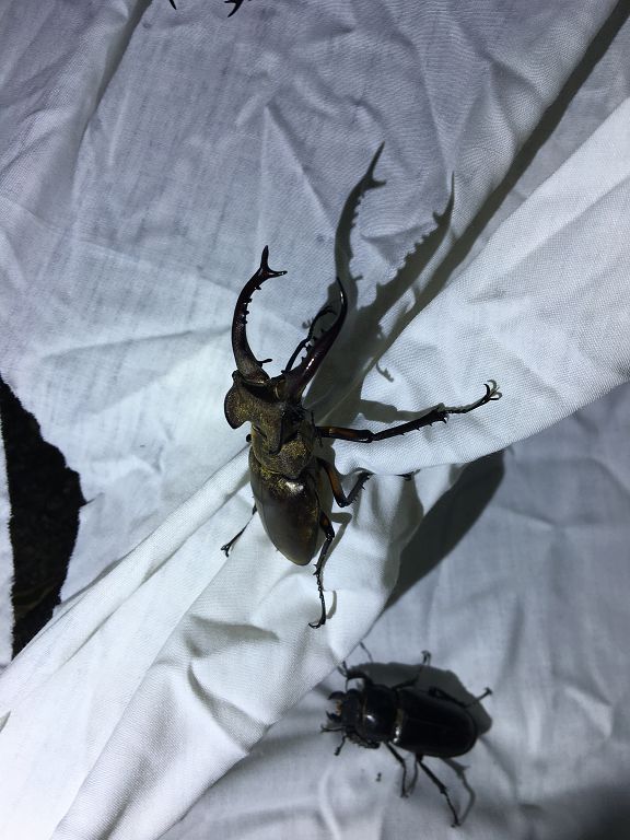 按此在新視窗瀏覽圖片