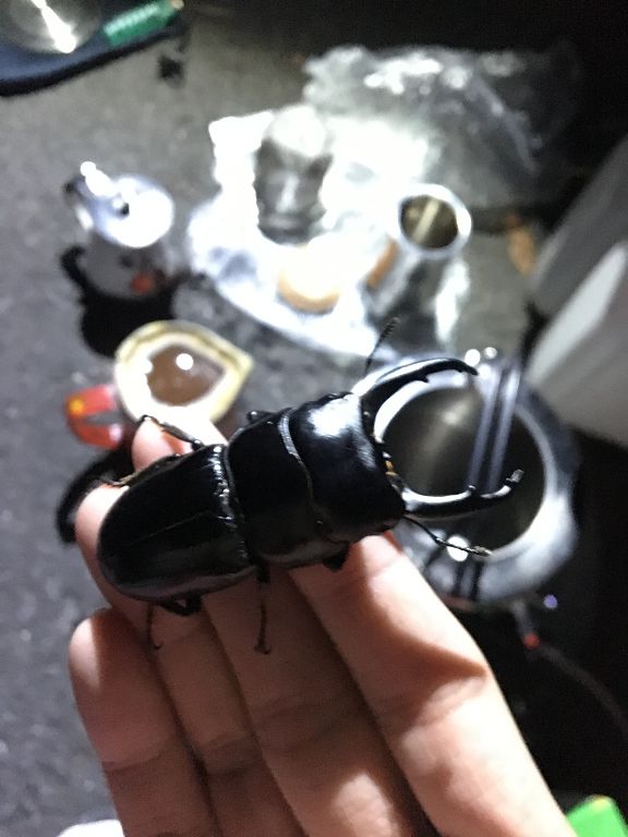 按此在新視窗瀏覽圖片