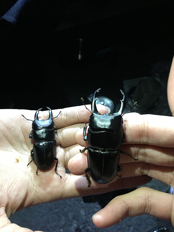 按此在新視窗瀏覽圖片