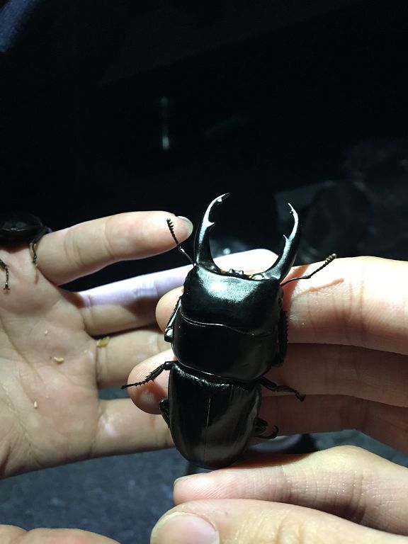 按此在新視窗瀏覽圖片