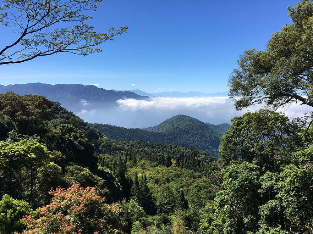 按此在新視窗瀏覽圖片