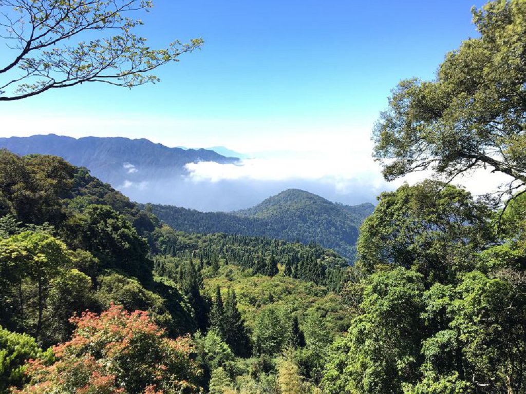 按此在新視窗瀏覽圖片