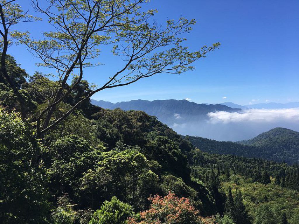 按此在新視窗瀏覽圖片