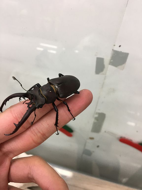 按此在新視窗瀏覽圖片