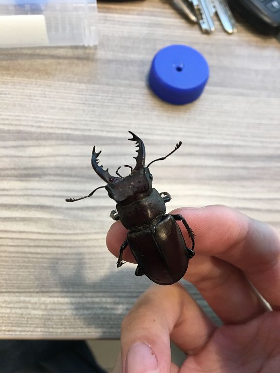 按此在新視窗瀏覽圖片