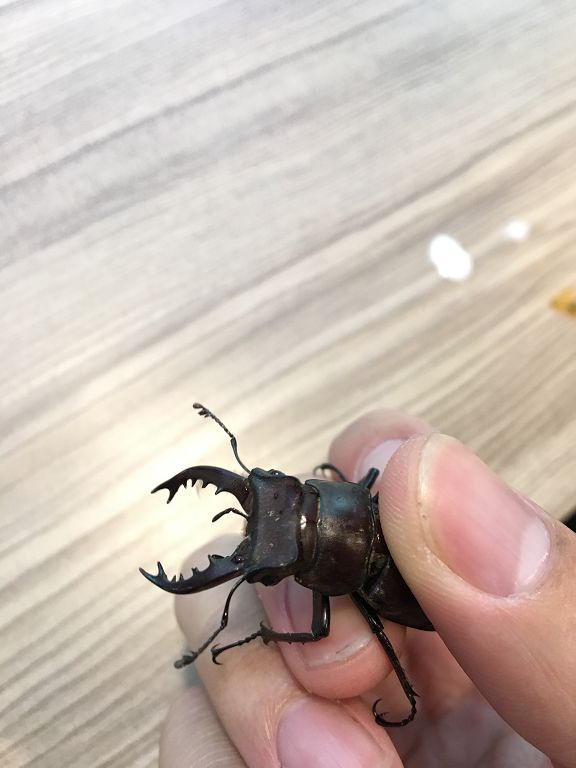 按此在新視窗瀏覽圖片