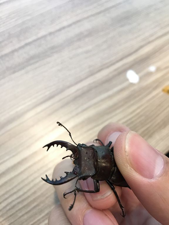 按此在新視窗瀏覽圖片