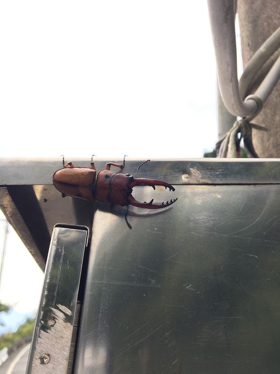 按此在新視窗瀏覽圖片