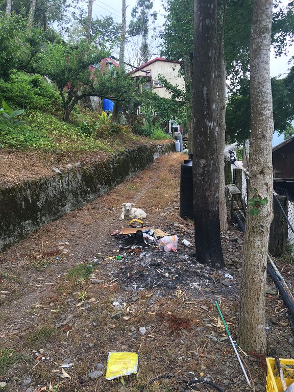 按此在新視窗瀏覽圖片