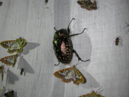 按此在新視窗瀏覽圖片