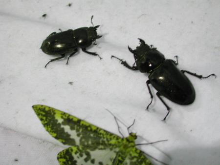 按此在新視窗瀏覽圖片