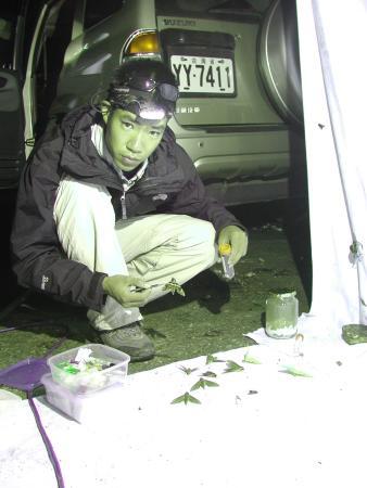 按此在新視窗瀏覽圖片