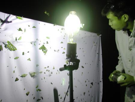 按此在新視窗瀏覽圖片