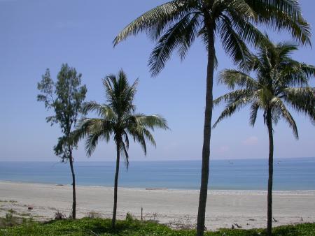 按此在新視窗瀏覽圖片