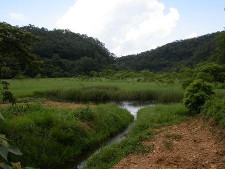 按此在新視窗瀏覽圖片