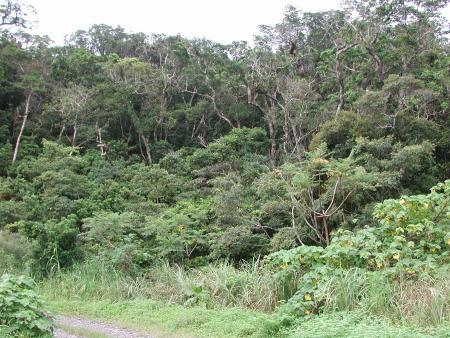 按此在新視窗瀏覽圖片