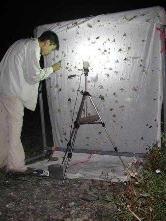 按此在新視窗瀏覽圖片