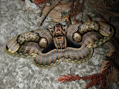 按此在新視窗瀏覽圖片