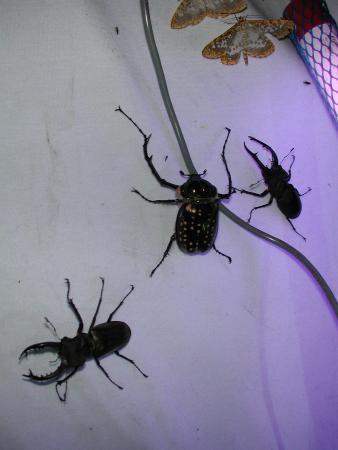 按此在新視窗瀏覽圖片