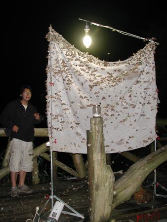 按此在新視窗瀏覽圖片