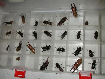 按此在新視窗瀏覽圖片