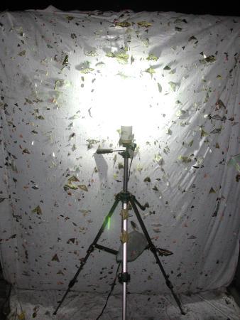 按此在新視窗瀏覽圖片