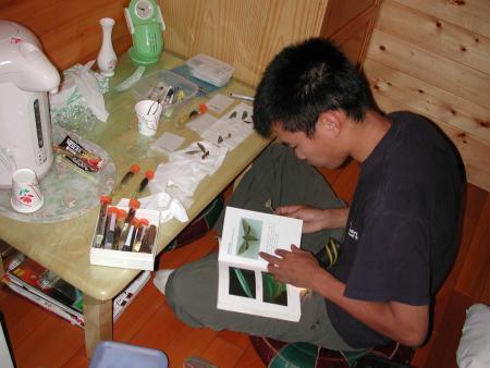 按此在新視窗瀏覽圖片