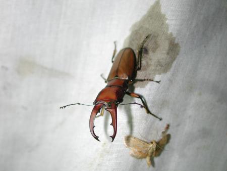 按此在新視窗瀏覽圖片