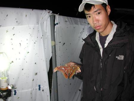 按此在新視窗瀏覽圖片