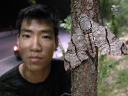 按此在新視窗瀏覽圖片