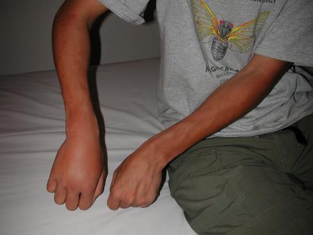 按此在新視窗瀏覽圖片