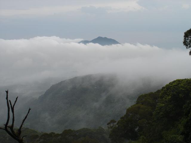 «ö¦¹¦b·sµøµ¡ÂsÄý¹Ï¤ù