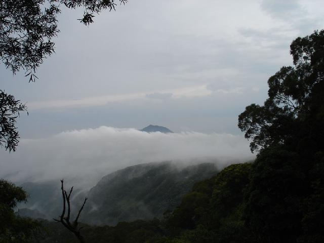 «ö¦¹¦b·sµøµ¡ÂsÄý¹Ï¤ù