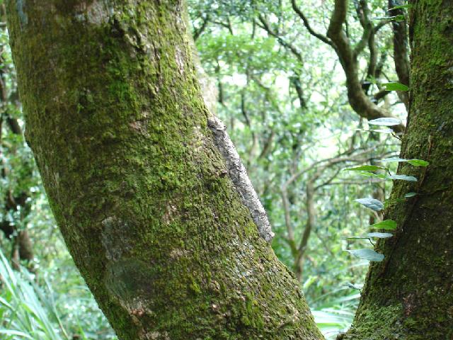 «ö¦¹¦b·sµøµ¡ÂsÄý¹Ï¤ù